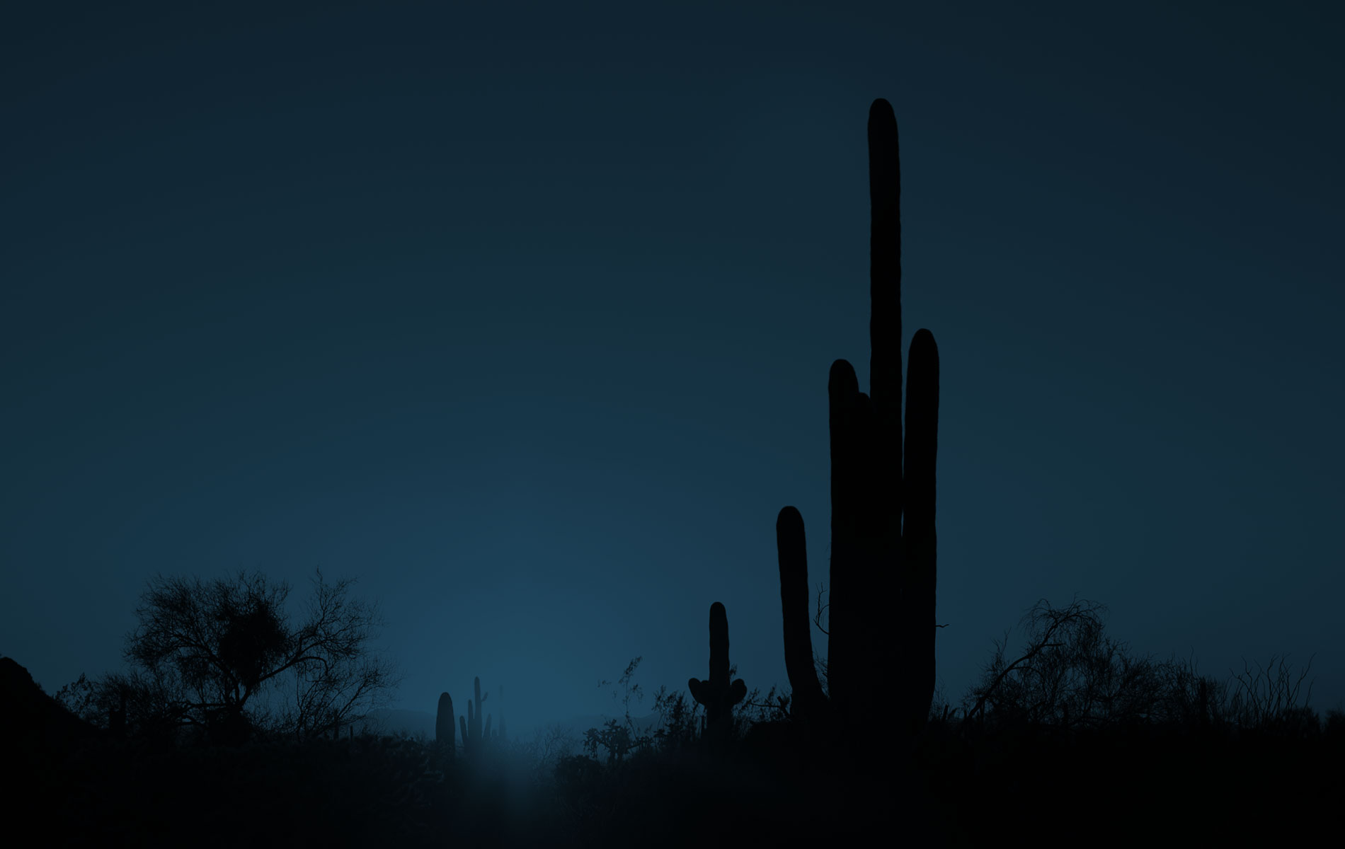 Probate Attorney Phoenix